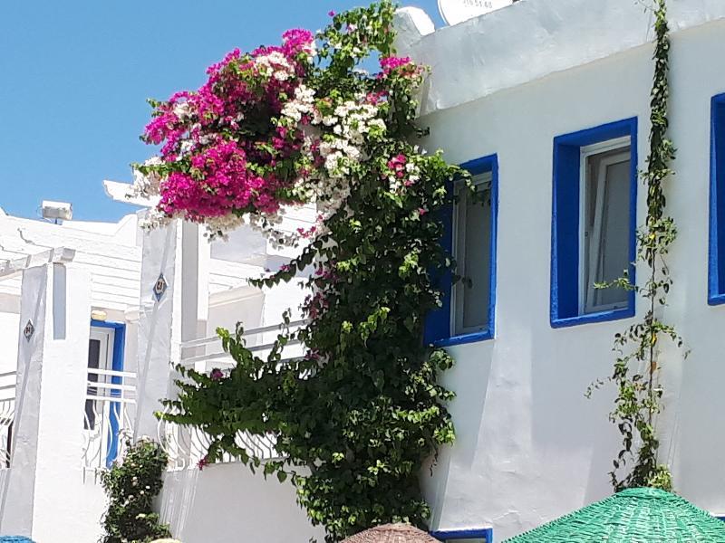 Paradise Apart Hotel Bitez Exterior foto